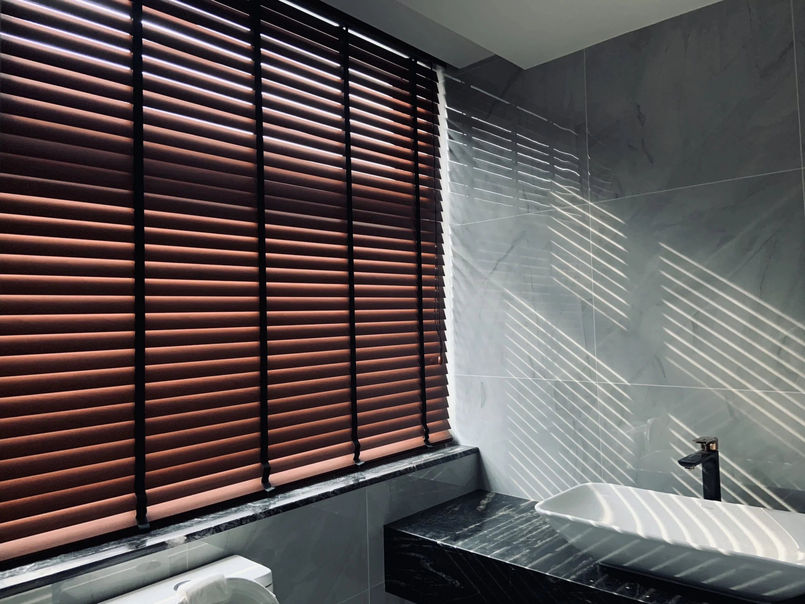 Zebra Blinds